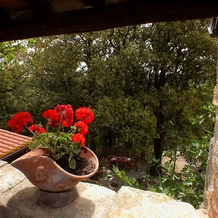 Casa Mazzoni